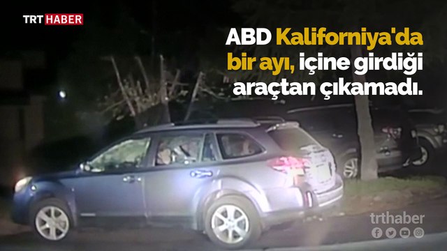 Arabada kilitli kalan ayı kurtarıldı