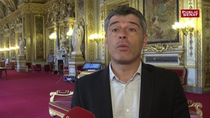 L'environnement inscrit dans la Constitution : « C'est une très bonne nouvelle », pour Guillaume Gontard