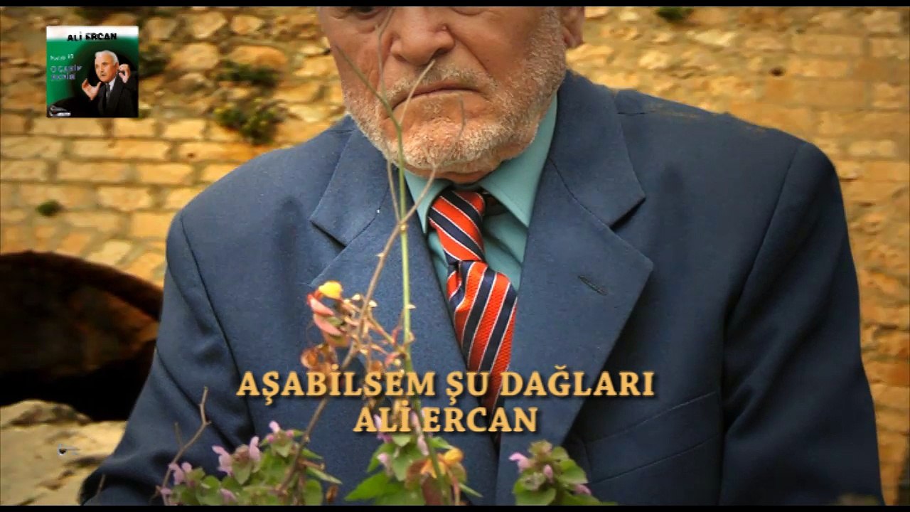 Ali Ercan  - Aşabilsem Şu Dağları  (Official Audio)