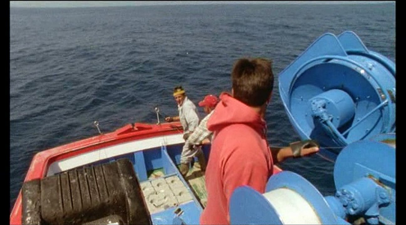 Vadvilág  - 04 - A gyilkos bálna