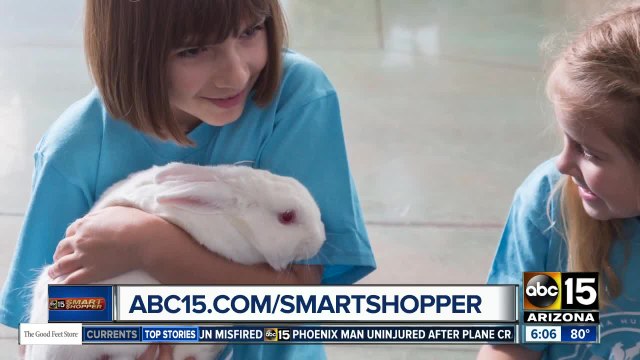 Arizona Humane Society offering last-minute summer camp deal