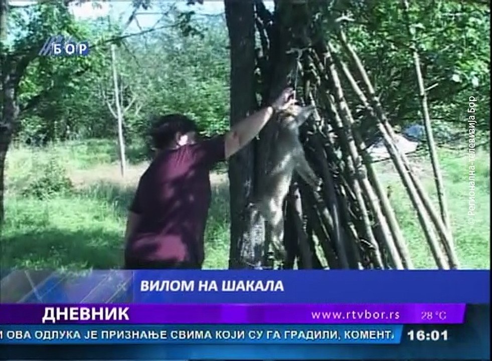 Dnevnik, 21.jun 2018. (RTV Bor)