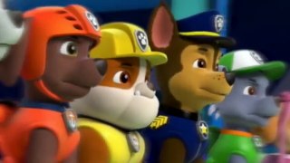 La Patrulla Canina - patrulla en la Niebla -  Dibujos animados para niños 2017
