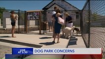 Woman Says Water at Dog Park Made Her Pet Sick