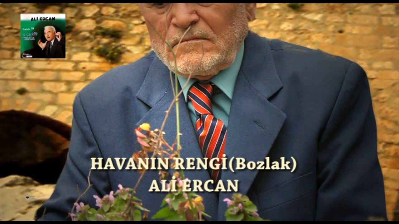Ali Ercan  - Havanın Rengi  (Official Audio)