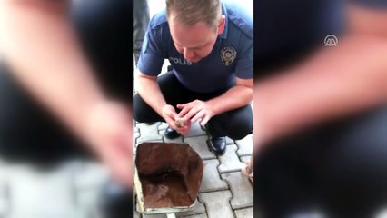 Polis memurundan serçeye 'hayata döndüren dokunuş' - ADIYAMAN