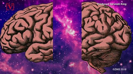 Multiple Personality Disorder May Be The Answer To The Riddle Of Consciousness