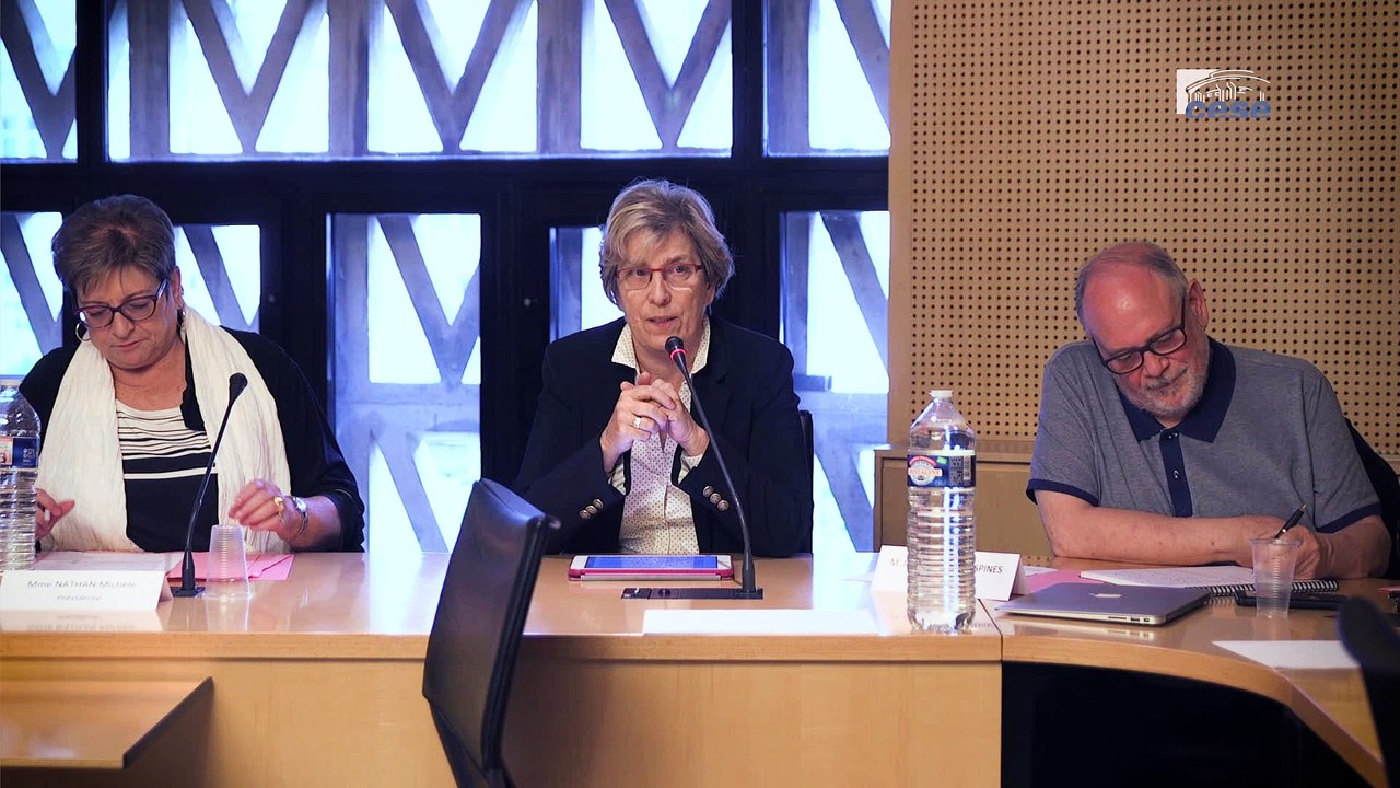 Questions à Marie-Noëlle LIENEMANN (Sénat) - études d'impacts - cese