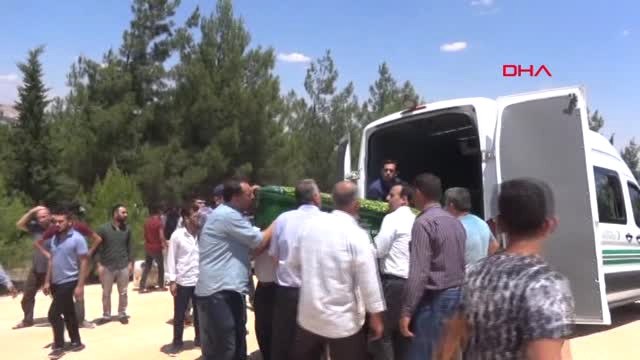Ankara'da Mogan Gölü'ne 15 Bin Yavru Balık Bırakıldı