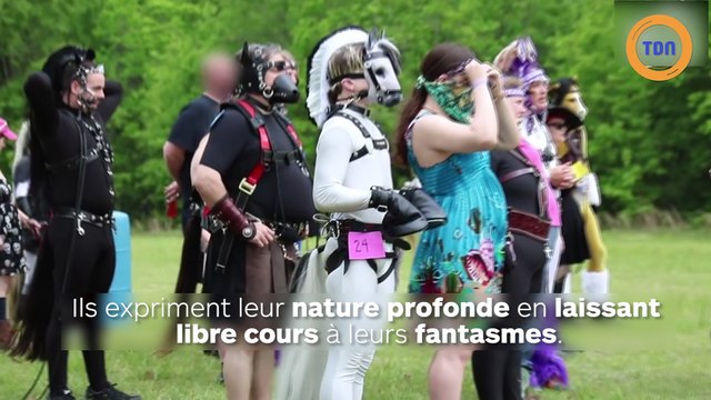 Ces fétichistes aiment jouer les chevaux