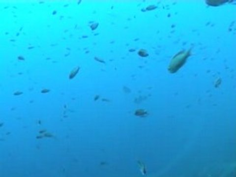 Ulysse club reportage baptême de plongée sous-marine