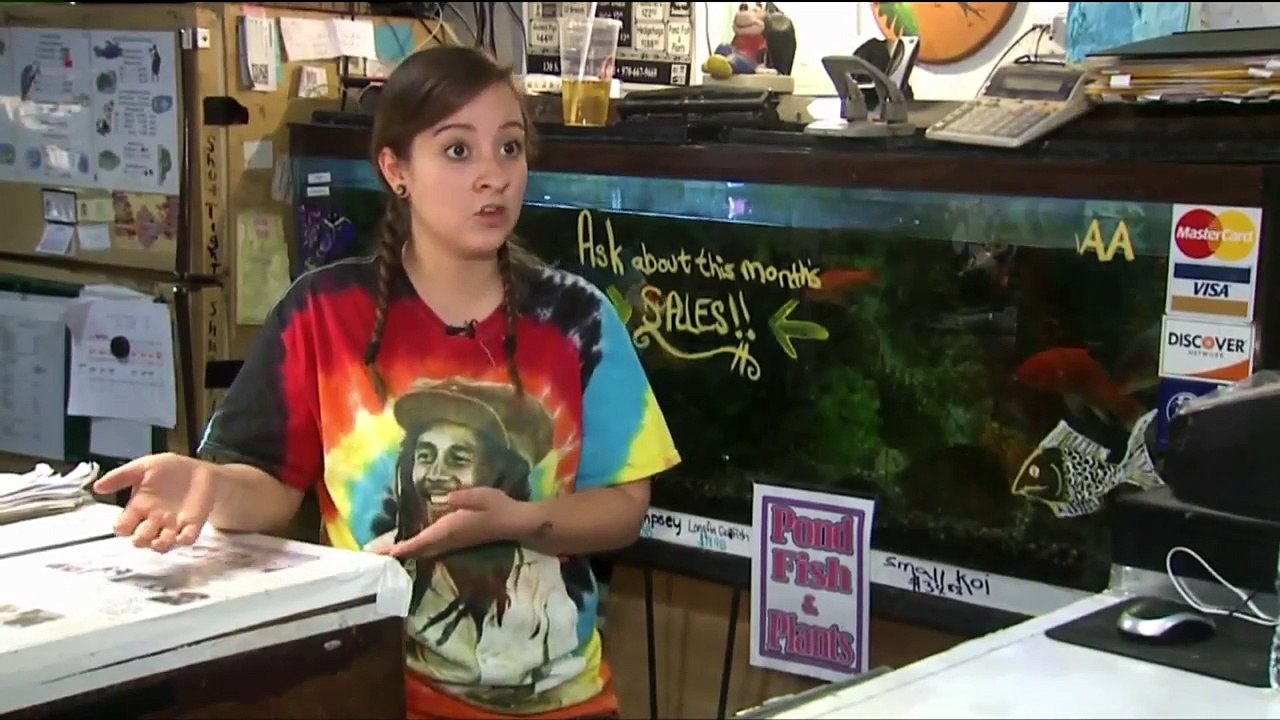 Video Shows Woman Stealing Puppy from Colorado Pet Store