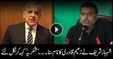 Shehbaz Sharif does not like to comment on Zaeem Qadri's differences