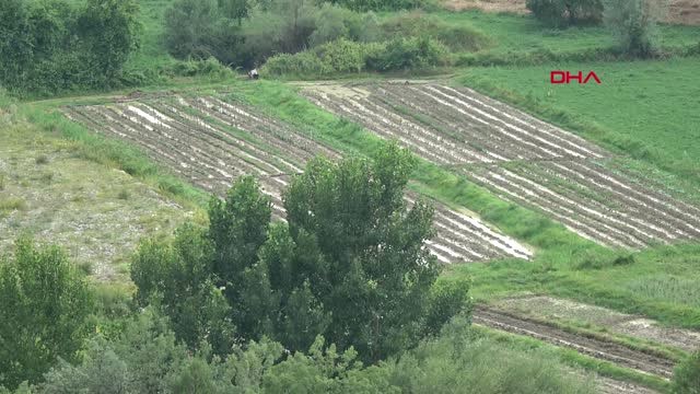 Bolu Aniden Bastıran Yağmur ve Dolu Tarım Arazilerine Zarar Verdi