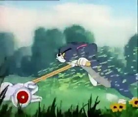Funny Scene From Tom And Jerry Cartoon