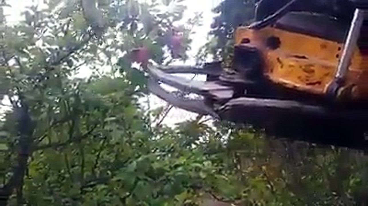 Çok güzel hareketler bunlar