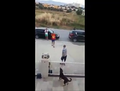 Ne ara vicdanımızı sandıklara koyduk. Bir olayın trajedisi atlatmadan diğer bir olay, can almak cana kıymak bu kadar kolay mı? Kendinden güçsüzlere masumlara at