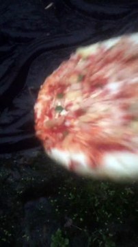 Pizza... mangée par des centaines d'anguilles dans l'eau !