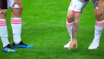 Isco sauve un oiseau en plein match de coupe du monde sur la pelouse !