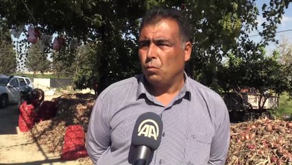 'Soğan tarlada 1,5, tezgahta 6 lira' - HATAY
