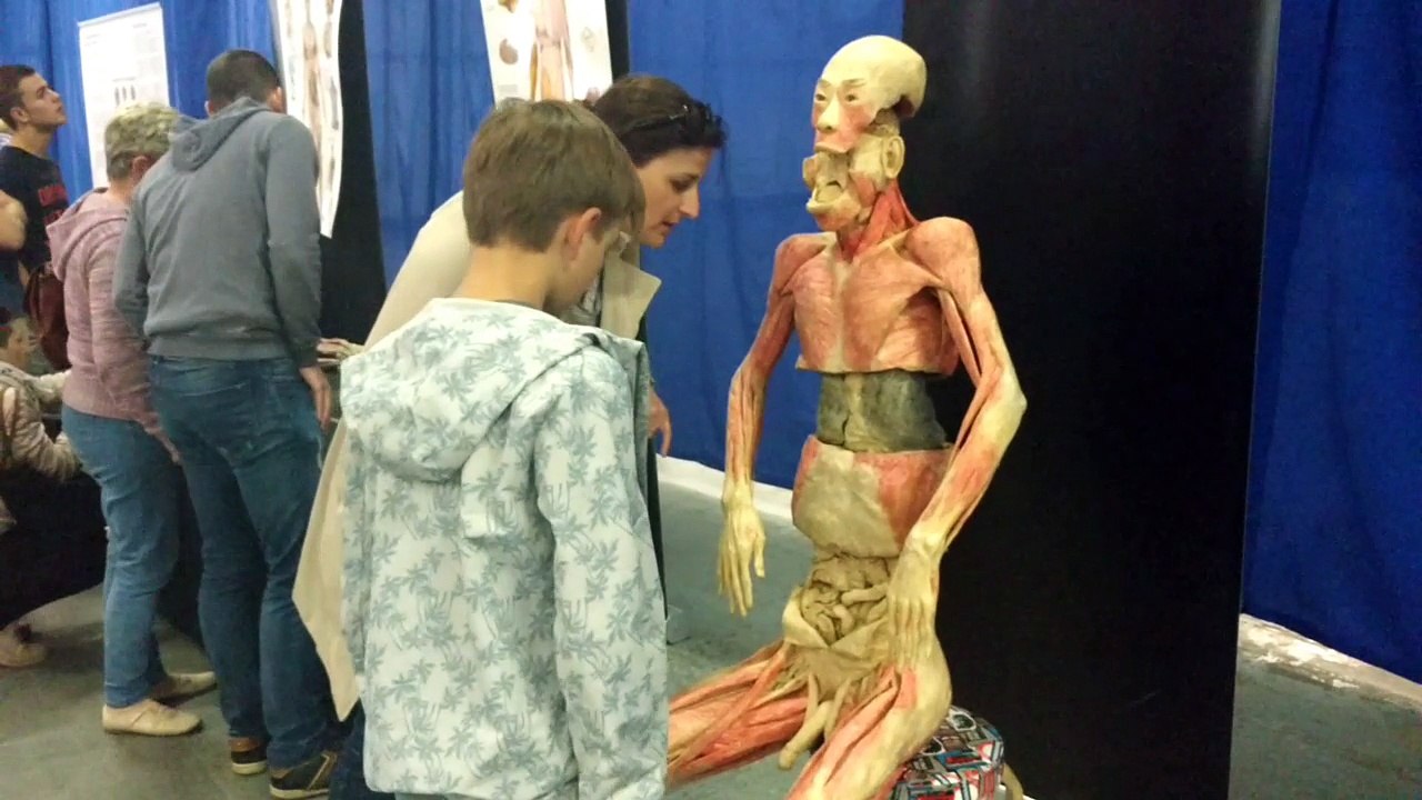 A Tournai, une exposition coup de poing créée à partir de vrais corps humains