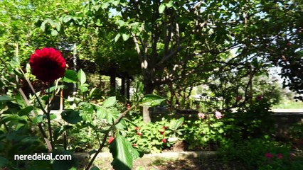 Mazı Uğur Pansiyon