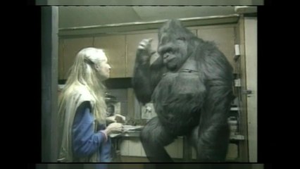 Muere Koko, la gorila capaz de comunicarse con los humanos