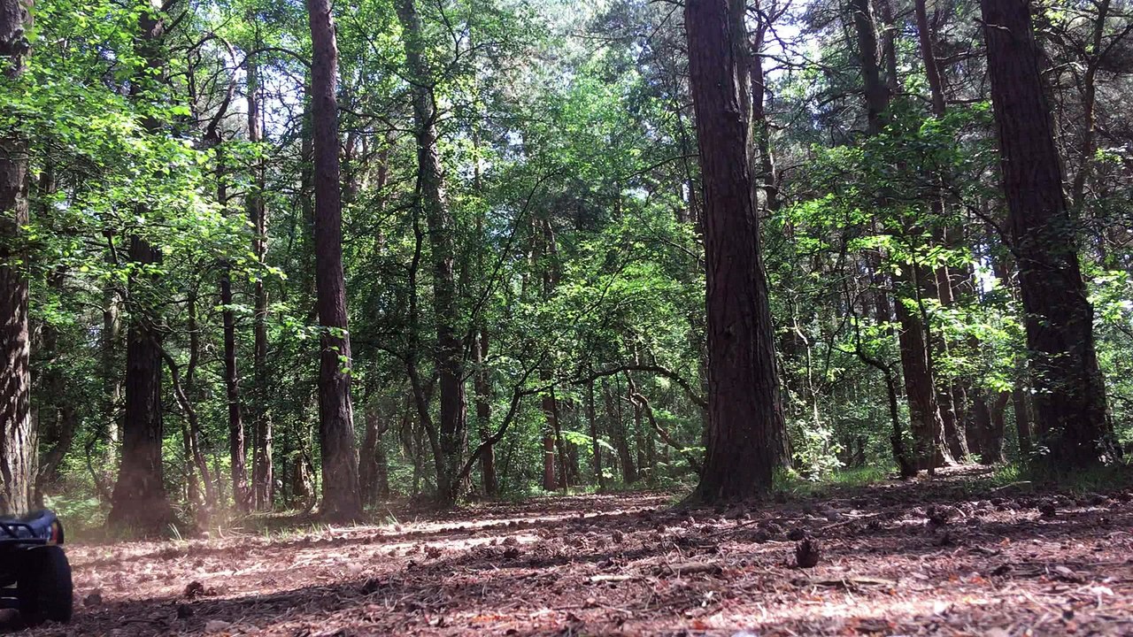 Traxxas Slash 4x4 - No More Bodyclips - Proline Body Mounts