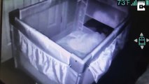 Une maman qui a fait une fausse couche pense avoir filmé le fantome de son bébé