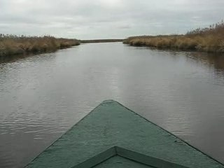 Une balade en Brière en chaland