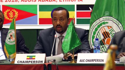 Güney Sudan'daki barış çabaları (1) - ADDİS ABABA