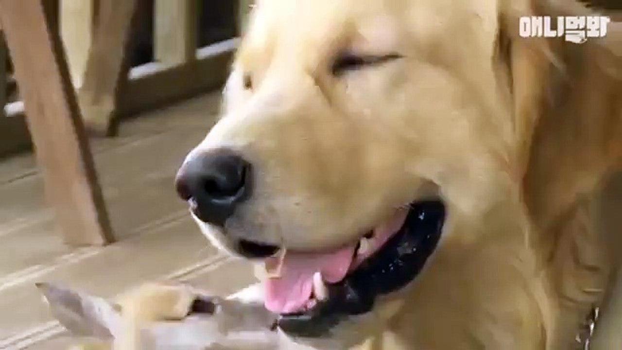 《여주콜걸＼{카톡LBN77}＼홈피XO42,NET》여주출장샵＜여주일본인출장만남＞＜여주출장안마＞여주콜걸샵ュ여주콜걸강추ュ 여주출장업소ュ여주콜걸대행 여주출장콜걸 나주모텔출장 인천콜걸샵 제주출장샵후기962