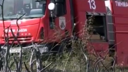 Güney Kıbrıs Rum Kesimi'nde yangın