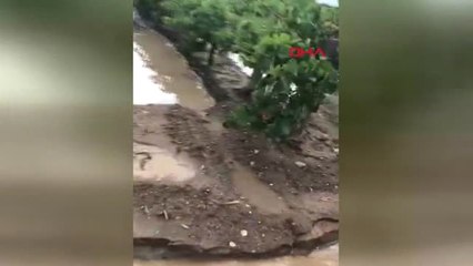 Manisa'da, Üzüm Bağlarını Su Bastı