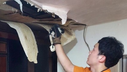 [영상] 천장에서 "야옹"...새끼고양이 구조 대작전 / YTN