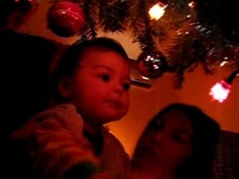 le sapin de satya