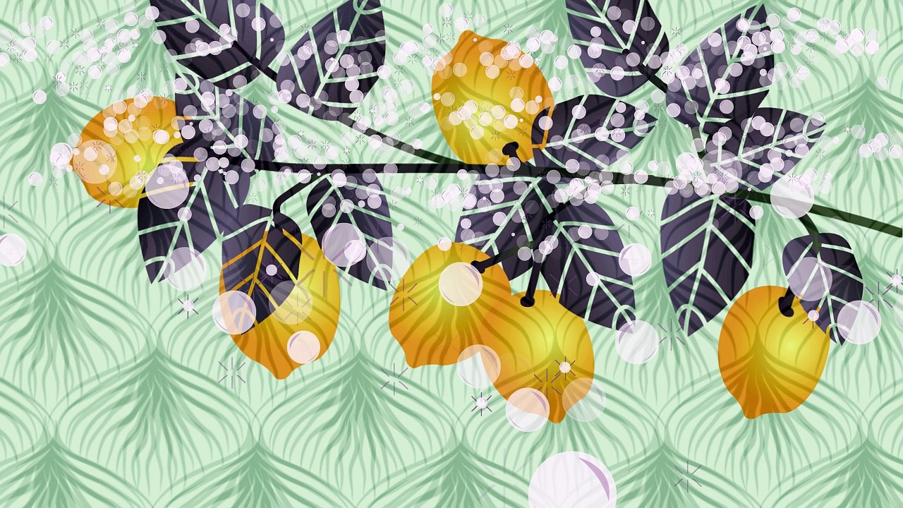 Perrier Motion Graphics
