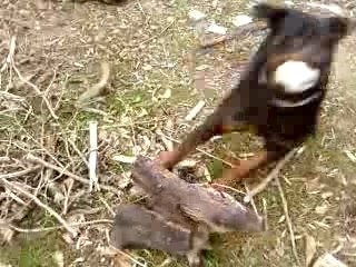 BOOBA ROTT