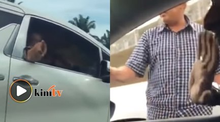 Download Video: Lelaki 'KDN' dikenal pasti, mangsa digesa lapor polis