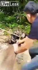 Des villageois sauvent ce chien de l'étreinte d'un python