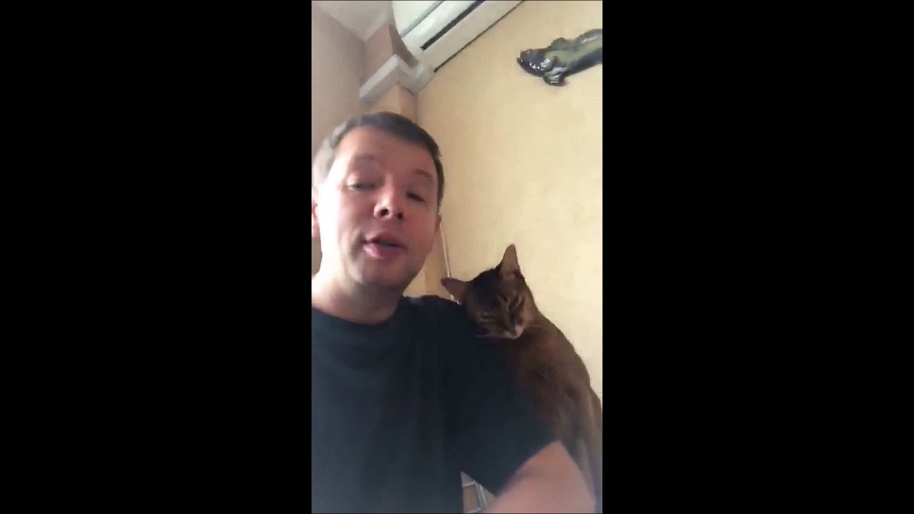 La vidéo ultra-mignonne du jour d'un chat qui veut du poulet