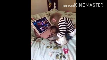 Smart monkeys  ☺️ How lovely they are   Source : Stunning Wildlife