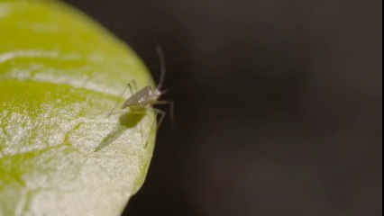 Cleaning Company in Dubai | Al Jazeerah