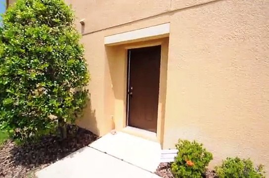 2449 Hibiscus Bay Ln Tampa FL