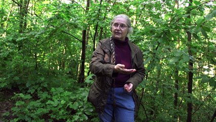 Des collines faites à la main !