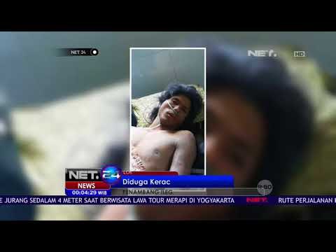 Belasan Penambang Ilegal di Lombok Tewas Keracunan Gas NET24