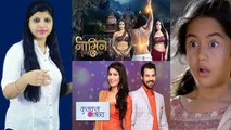 Naagin 3, Kundali Bhagaya and these TV shows are back on TOP in latest TRP List । FilmiBeat