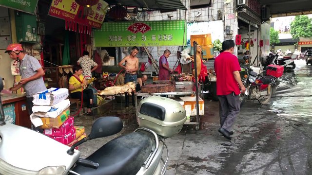 Controversial China dog meat festival opens