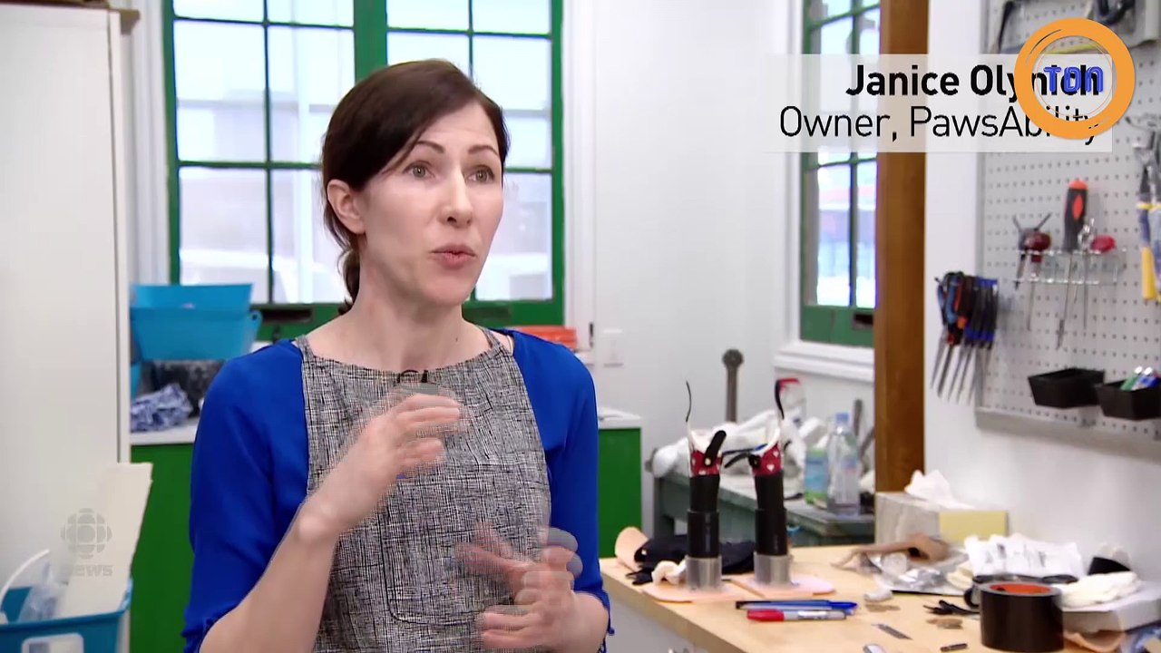 Cupidon est un chien pas comme les autres