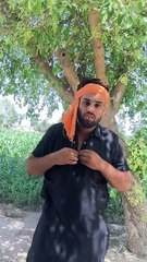 punjabi students in canada